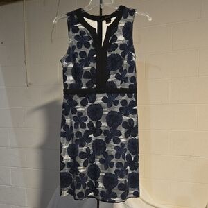 Ann Taylor Black and Blue Floral Mini Dress